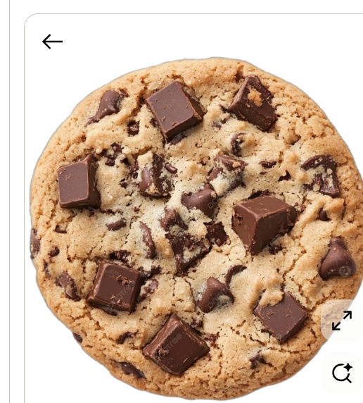 Brown Butter Chocolate Chip cookie