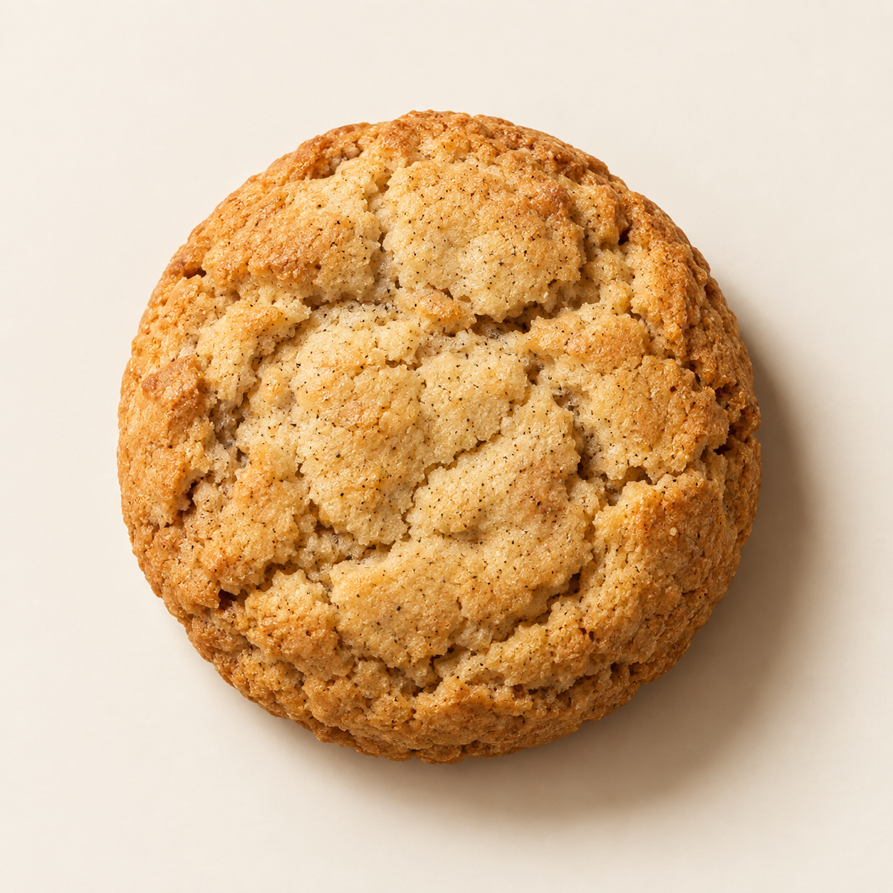 Vanilla Bean cookie